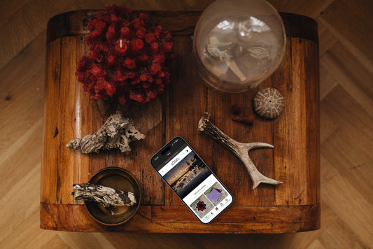 Die MountainBock App ist da - MountainBock.ch